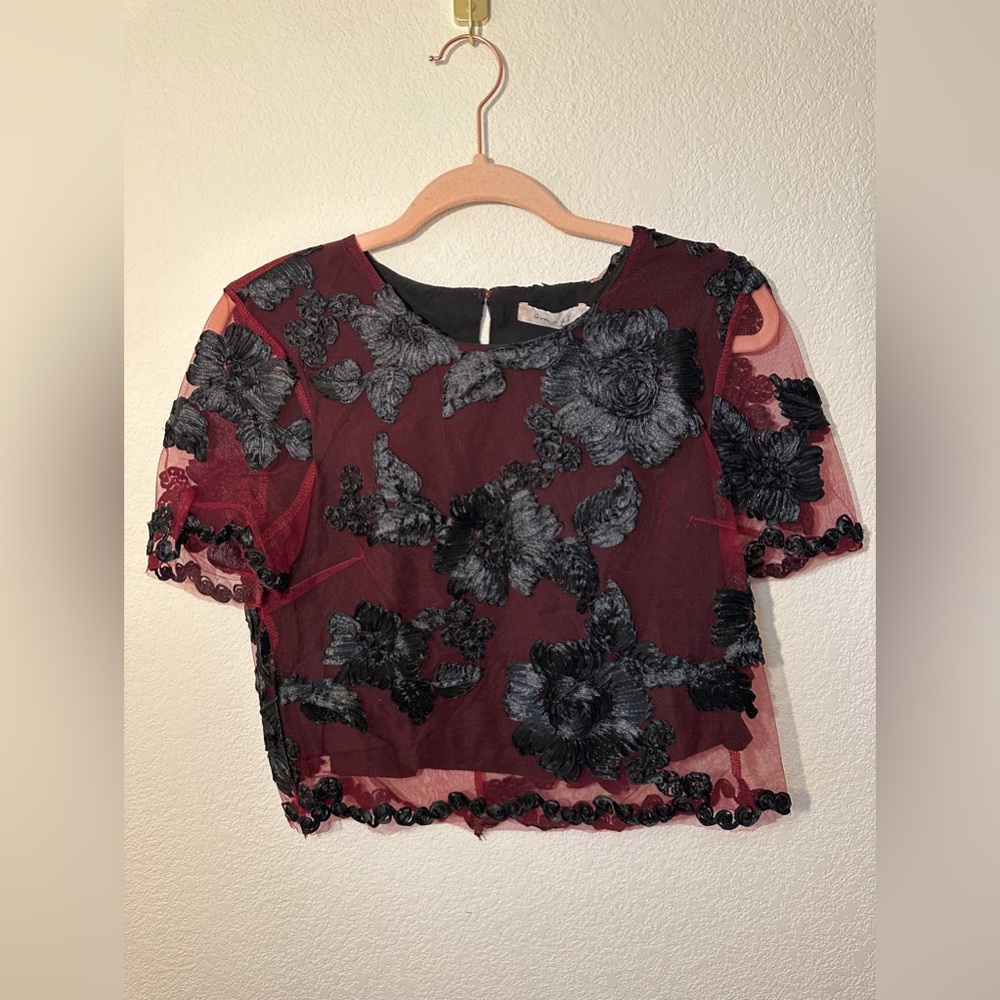 Red and Black Lace Crop Top  Short Sleeves - Medium